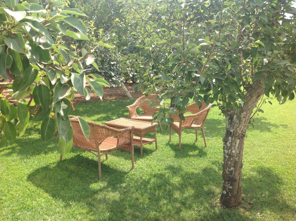 Agriturismo L'Agrumeto Otranto Exterior foto